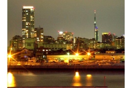 タワーと港の夜景を一望…