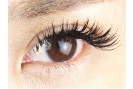 boucle eyelash